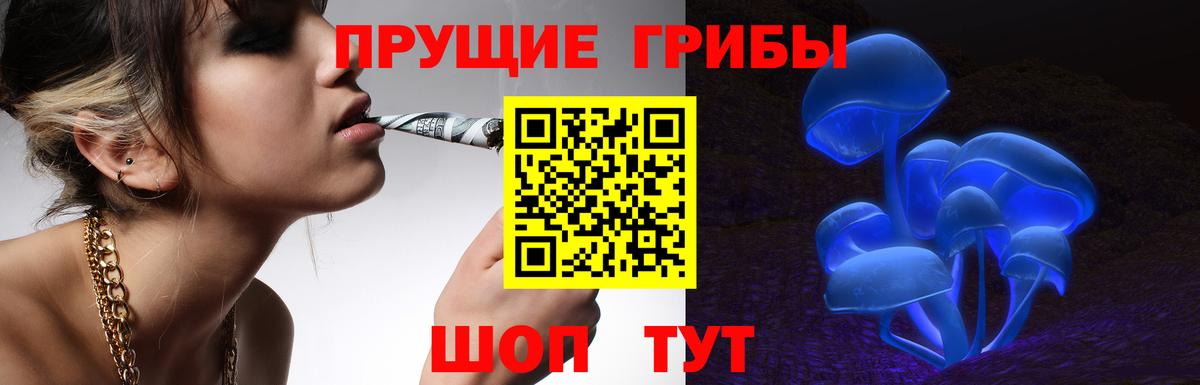 Электросталь  Галлюциногенные грибы Magic Shrooms  Вход с VPN 
